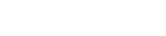 Newtronic